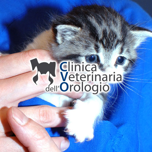 Clinica Veterinaria dell'Orologio